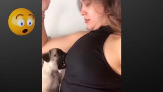 Когда Бог посылает тебе забавную собаку 🤣