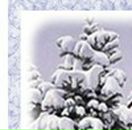 Вікторія Кравецька фотография #40 (источник - https://vk.com/id87335660)