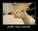 Саня Каледін фотография #14 (источник - https://vk.com/id158033754)