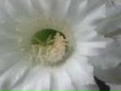 Олег Літвін фотография #46 (источник - https://vk.com/id167122010)