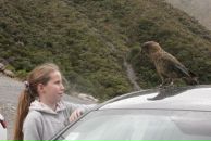 Фотография Харькиной Таисии