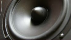 Фотография Осмаловской Екатерины