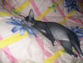 Фотография Карпец Андрей