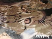 Фотография Малеева Андрея