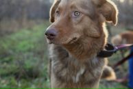 Эрика Быстрова фотография #22 (источник - https://vk.com/id111663)