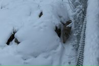 Анна Маркина фотография #34 (источник - https://vk.com/id1434636)