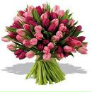 Олександр Бабій фотография #22 (источник - https://vk.com/id9567711)