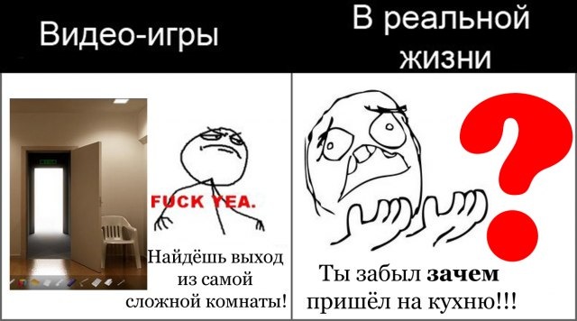 Дмитрий Мальцев фотография #22