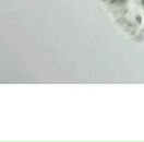 Ваня Садохін фотография #48 (источник - https://vk.com/id152568009)