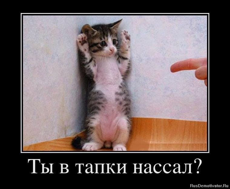 Дмитрий Дмитриев фотография #1