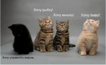 Фотография Скрипниковой Елены