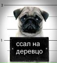 Назар Стасів фотография #49 (источник - https://vk.com/id55325262)
