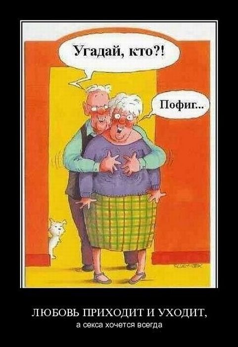 Рома Котенко фотография #1