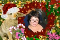 Фотография Тепляков Виктор