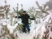 Фотография Новикова Александра