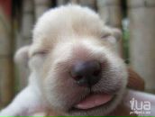 Фотография Тарасовой Натальи