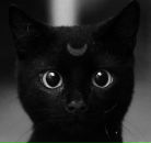 Фотография Дурягина Александра