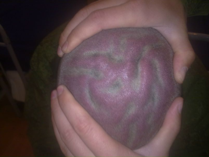 Сергей М фото №10