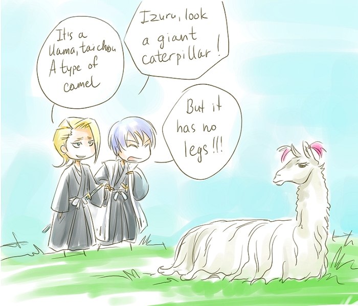 Ichimaru Gin фотография #11