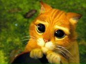 Фотография Курочкина Сергея