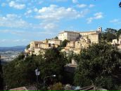 Dmitry Davidenko фотография #13 (источник - https://vk.com/id10142)