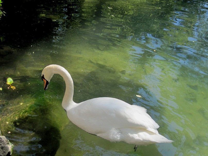 Янина Шмалько фотография #44