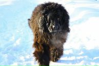 Фотография Васильевой Юлии