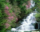 Фотография Елисеевой Александры