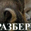 Віталій Каракай фотография #4 (источник - https://vk.com/id113544067)