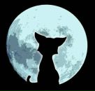 Фотография Якубовой Олеси