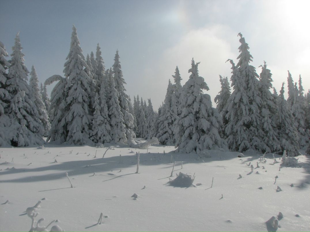 Антон Городилов фотография #44