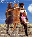 Сашунечка:) Дрозд фотография #12 (источник - https://vk.com/id83322451)