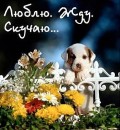 Міша Романюк фотография #49 (источник - https://vk.com/id80403807)