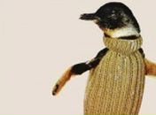 Антон Ладик фотография #21 (источник - https://vk.com/id4300628)