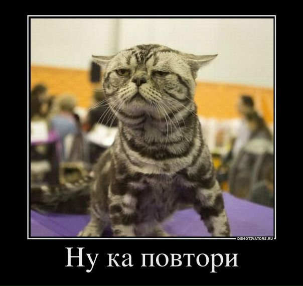 №2, Алексей Кураков №2, Алексей Кураков