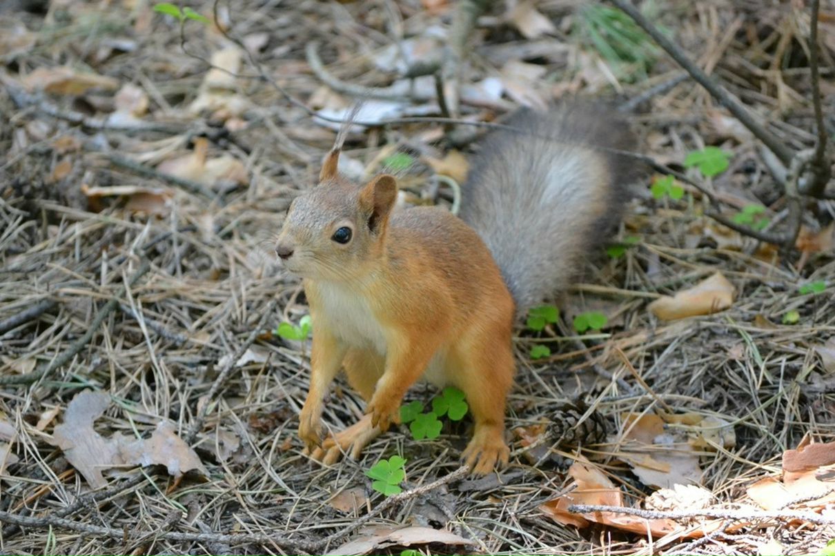 Константин Басалаев фотография #48