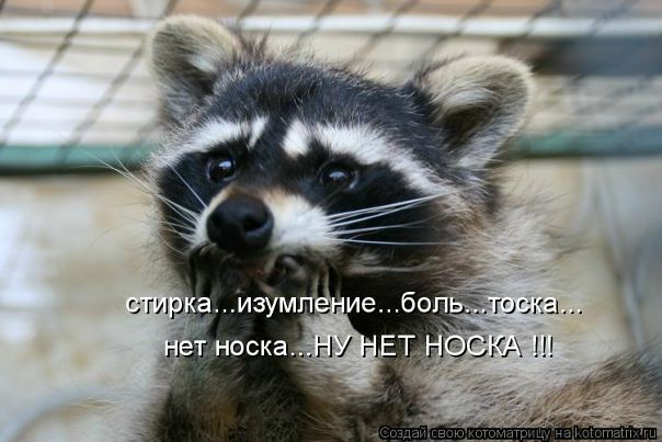 №5, Евгения Подалюк, 11.1 №5, Евгения Подалюк, 11.1