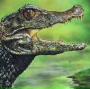 Фотография Николаева Михаила