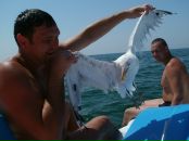 Максим Єгоров фотография #38 (источник - https://vk.com/id68110321)