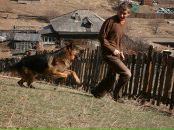 Фотография Москвитина Егора