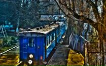 Віталій Горват фотография #46 (источник - https://vk.com/id27428630)