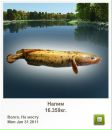Андрій Кирилич фотография #44 (источник - https://vk.com/id72602419)