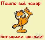 Фотография Dasaeva Nadiya