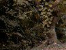Віталій Олень фотография #39 (источник - https://vk.com/id144604246)
