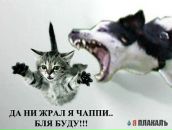 Фотография Коткина Дмитрия