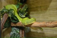 Сергій Момот фотография #27 (источник - https://vk.com/id3990608)