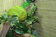 Сергій Момот фотография #30 (источник - https://vk.com/id3990608)