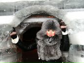 Фотография Сикорскаи Эльвиры