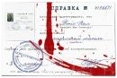 Деніс Пал фотография #10 (источник - https://vk.com/id139360974)