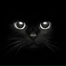 Фотография Басовой Анастасии